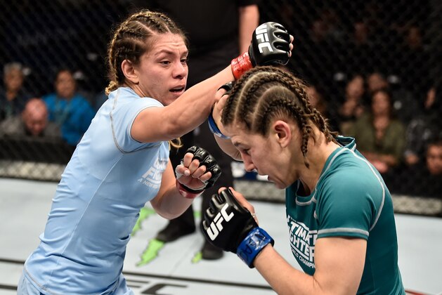 LAS VEGAS, NV - DECEMBER 01:  (L-R) Nicco Montano punches Roxanne Modafferi in their women's flyweight championship bout during the TUF Finale event inside Park Theater on December 01, 2017 in Las Vegas, Nevada. (Photo by Jeff Bottari/Zuffa LLC/Zuffa LLC via Getty Images)
