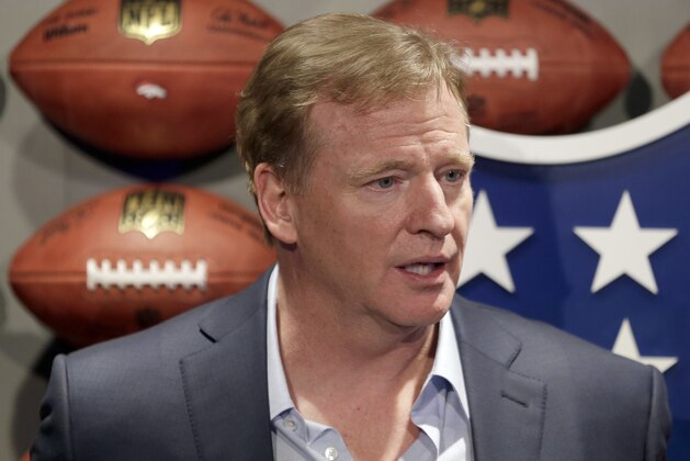 NFL Commissioner Roger Goodell poses for a picture at the opening of