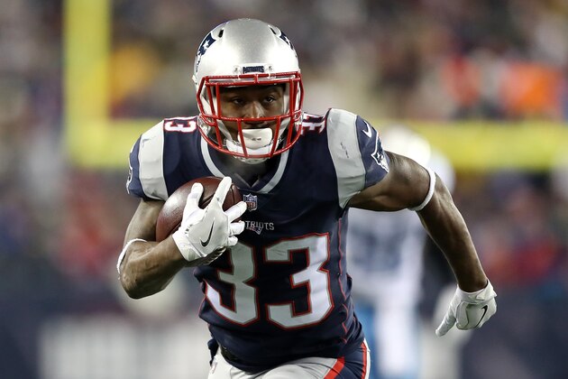 FOXBOROUGH, MA - JANUARY 13:  Dion Lewis #33 of the New England Patriots carries the ball in the second quarter of the AFC Divisional Playoff game against the Tennessee Titans at Gillette Stadium on January 13, 2018 in Foxborough, Massachusetts.  (Photo by Elsa/Getty Images)