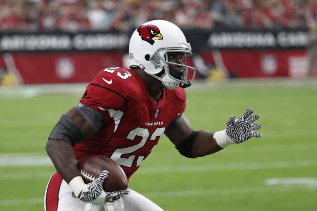 Arizona Cardinals running back Adrian Peterson (23) during the second half of an NFL football game against the Jacksonville Jaguars, Sunday, Nov. 26, 2017, in Glendale, Ariz. (AP Photo/Rick Scuteri)