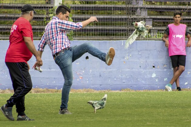 In this Sunday, March 11, 2018 photo, Fenix first-division club director Gaston Alegari kicks a hen after supporters from his club threw two chickens painted in white and green, the colors of the opponents Racing, on to the field during their league soccer match, in Montevideo, Uruguay. Uruguay’s soccer association decided on Tuesday that Fenix will have to play one match away from their home stadium because of the incident. The incident has also made Alegari a target of criticism from animal rights groups and fans after he violently kicked one of the chickens off the pitch. (AP Photo/Mauricio Castillo)