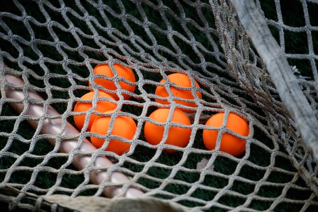 ANNAPOLIS, MD - JULY 25: Lacrosse balls sit in a net during the Chesapeake Bayhawks and Charlotte Hounds game at Navy-Marine Corps Memorial Stadium on July 25, 2015 in Annapolis, Maryland.  (Photo by Rob Carr/Getty Images)