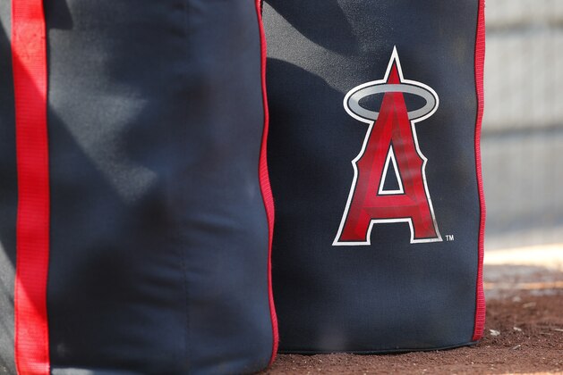 NEW YORK, NY - JUNE 22: The logo on a Los Angeles Angels of Anaheim equipment bag before a game against the New York Yankees at Yankee Stadium on June 22, 2017 in the Bronx borough of New York City. (Photo by Rich Schultz/Getty Images)