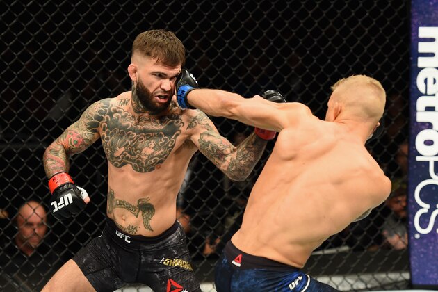 NEW YORK, NY - NOVEMBER 04:  TJ Dillashaw
fights Cody Garbrandt  in their UFC bantamweight championship bout during the UFC 217 event at Madison Square Garden on November 4, 2017 in New York City.  (Photo by Josh Hedges/Zuffa LLC/Zuffa LLC via Getty Images)