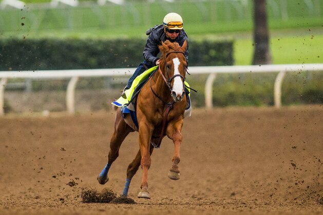 ARCADIA, CA - APRIL 02: Justify with Drayden Van Dyke complete final preparations for the Santa Anita Derby at Santa Anita Park on April 02, 2018 in Arcadia, California. (Photo by Alex Evers/Eclipse Sportswire/Getty Images)