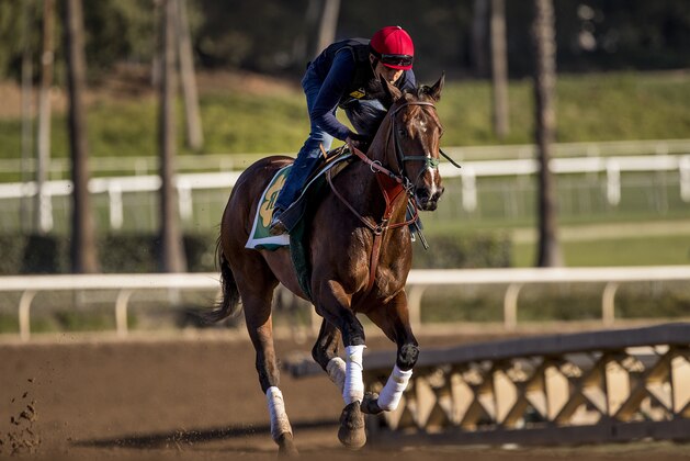 ARCADIA, CA - APRIL 21: Bolt d'Oro gallops in preparation for the Kentucky Derby at Santa Anita Park on April 21, 2018 in Arcadia, California. (Photo by Alex Evers/Eclipse Sportswire/Getty Images)
