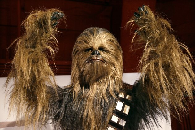 In this photo taken Thursday, Jan. 29, 2015, a yak hair and mohair costume of the Wookiee Chewbacca is displayed as part of an exhibit on the costumes of Star Wars at Seattle’s EMP Museum. The creators of the new exhibit, with 60 original costumes from the six Star Wars movies, are hoping to gather geeks, fashionistas and movie fans together to discuss how clothing helps set the scene. The exhibit, “Rebel, Jedi, Princess, Queen: Star Wars and the Power of Costume,” will be in Seattle through early October and then travel across the United States through 2020. (AP Photo/Elaine Thompson)