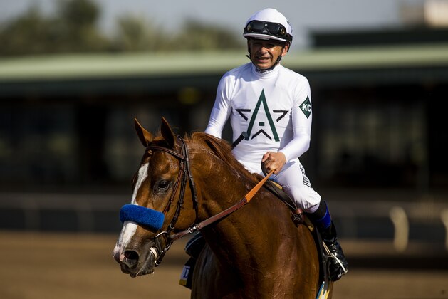 ARCADIA, CA - APRIL 07: Justify #6 with Mike Smith win the Santa Anita Derby at Santa Anita Park on April 07, 2018 in Arcadia, California.(Photo by Alex Evers/Eclipse Sportswire/Getty Images)