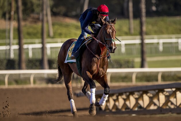 ARCADIA, CA - APRIL 21: Bolt d'Oro gallops in preparation for the Kentucky Derby at Santa Anita Park on April 21, 2018 in Arcadia, California. (Photo by Alex Evers/Eclipse Sportswire/Getty Images)