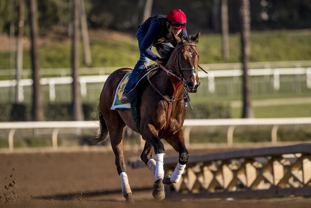 ARCADIA, CA - APRIL 21: Bolt d'Oro gallops in preparation for the Kentucky Derby at Santa Anita Park on April 21, 2018 in Arcadia, California. (Photo by Alex Evers/Eclipse Sportswire/Getty Images)