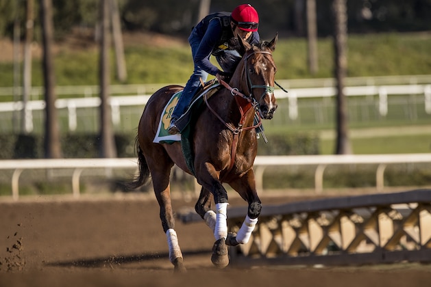 ARCADIA, CA - APRIL 21: Bolt d'Oro gallops in preparation for the Kentucky Derby at Santa Anita Park on April 21, 2018 in Arcadia, California. (Photo by Alex Evers/Eclipse Sportswire/Getty Images)