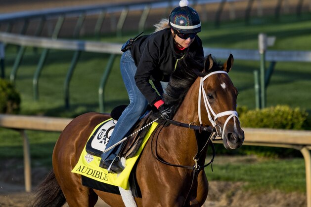 LOUISVILLE, KY - APRIL 28: Audible, trained by Todd Pletcher, exercises in preparation for the Kentucky Derby at Churchill Downs on April 28, 2018 in Louisville, Kentucky. (Photo by Scott Serio/Eclipse Sportswire/Getty Images)