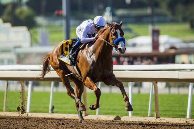 ARCADIA, CA - APRIL 07:  Mike Smith guides Justify #6 to a victory in the Santa Anita Derby at Santa Anita Park on April 07, 2018 in Arcadia, California.(Photo by Alex Evers/Eclipse Sportswire/Getty Images)