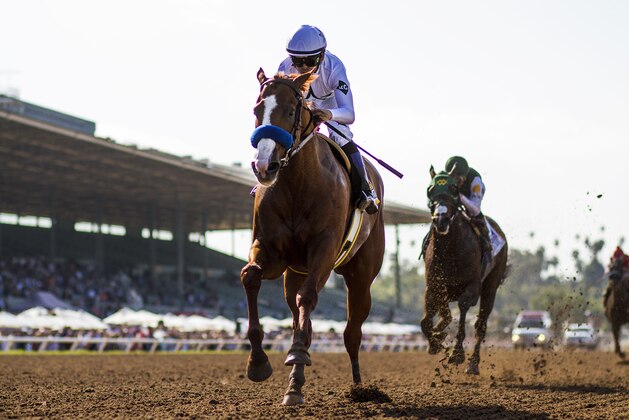 ARCADIA, CA - APRIL 07: Justify #6 with Mike Smith defeat Bolt d'Oro #3 and Javier Castellano to win the Santa Anita Derby at Santa Anita Park on April 07, 2018 in Arcadia, California.(Photo by Alex Evers/Eclipse Sportswire/Getty Images)
