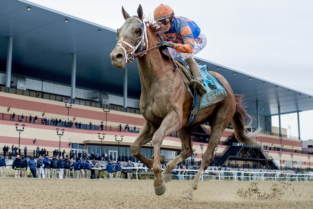 OZONE PARK, NY - APRIL 07: Vino Rosso (KY) #9, ridden by jockey John Velazquez, wins the Wood Memorial Stakes on Wood Memorial Stakes Day at Aqueduct Race Track on April 7, 2018 in Ozone Park, New York. (Photo by Scott Serio/Eclipse Sportswire/Getty Images)