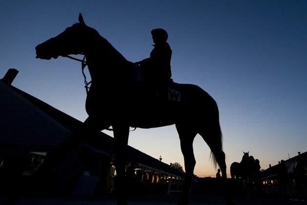 LOUISVILLE, KY - MAY 01: Horses head to the track and get baths on a busy Tuesday morning during Kentucky Derby week at Churchill Downs on May 1, 2018 in Louisville, Kentucky. (Photo by Scott Serio/Eclipse Sportswire/Getty Images)