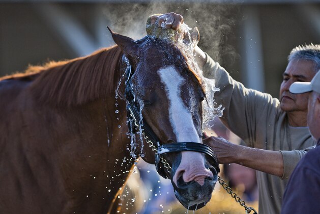LOUISVILLE, KY - MAY 01: Justify, trained by Bob Baffert, gets a bath after exercising in preparation for the Kentucky Derby at Churchill Downs on May 1, 2018 in Louisville, Kentucky. (Photo by Scott Serio/Eclipse Sportswire/Getty Images)