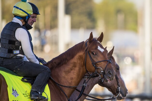 LOUISVILLE, KY - MAY 01: Hofburg at Churchill Downs on May 1, 2018 in Louisville, Kentucky. (Photo by Alex Evers/Eclipse Sportswire/Getty Images)