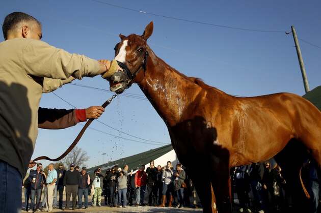 Kentucky Derby hopeful Justify gets a bath after a morning workout at Churchill Downs Tuesday, May 1, 2018, in Louisville, Ky. The 144th running of the Kentucky Derby is scheduled for Saturday, May 5. (AP Photo/Charlie Riedel)