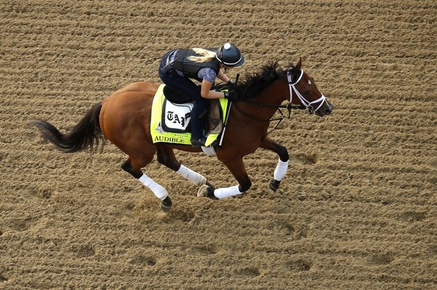 Kentucky Derby entrant Audible runs during a morning workout at Churchill Downs Wednesday, May 2, 2018, in Louisville, Ky. The 144th running of the Kentucky Derby is scheduled for Saturday, May 5. (AP Photo/Charlie Riedel)