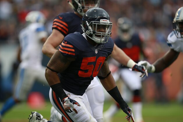 Chicago Bears inside linebacker Jerrell Freeman (50) chases down the ball against the Detroit Lions during an NFL football game, Sunday, Oct. 2, 2016, in Chicago.    (Jeff Haynes/AP Images for Panini)
