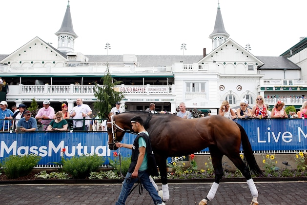LOUISVILLE, KY - MAY 03:  A horse is hot walked in the paddock ahead of the 144th Kentucky Derby at Churchill Downs on May 3, 2018 in Louisville, Kentucky.  (Photo by Jamie Squire/Getty Images)