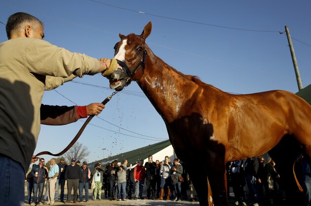 Kentucky Derby hopeful Justify gets a bath after a morning workout at Churchill Downs Tuesday, May 1, 2018, in Louisville, Ky. The 144th running of the Kentucky Derby is scheduled for Saturday, May 5. (AP Photo/Charlie Riedel)
