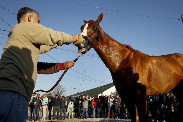 Kentucky Derby hopeful Justify gets a bath after a morning workout at Churchill Downs Tuesday, May 1, 2018, in Louisville, Ky. The 144th running of the Kentucky Derby is scheduled for Saturday, May 5. (AP Photo/Charlie Riedel)