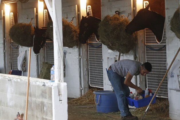 Horse look out of the stalls at Churchill Downs Friday, May 4, 2018, in Louisville, Ky. he 144th running of the Kentucky Derby is Saturday, May 5th. (AP Photo/John Minchillo)