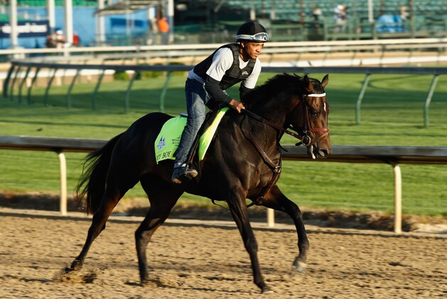 LOUISVILLE, KY - MAY 01:  My Boy Jack runs on the track during the morning training for the Kentucky Derby at Churchill Downs on May 1, 2018 in Louisville, Kentucky.  (Photo by Andy Lyons/Getty Images)