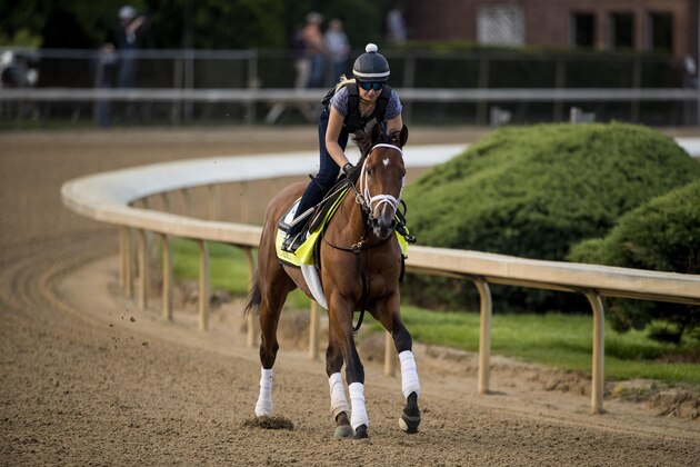 LOUISVILLE, KY - MAY 02: Audible gallops in preparation for the Kentucky Derby at Churchill Downs on May 2, 2018 in Louisville, Kentucky. (Photo by Alex Evers/Eclipse Sportswire/Getty Images)