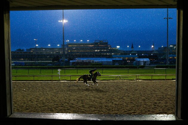 LOUISVILLE, KY - MAY 05:  A horse trains on the track during morning workouts in preparation for the 144th Kentucky Derby at Churchill Downs on May 5, 2018 in Louisville, Kentucky.  (Photo by Michael Reaves/Getty Images)