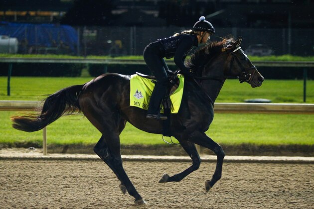 LOUISVILLE, KY - MAY 05:  My Boy Jack trains on the track during morning workouts in preparation for the 144th Kentucky Derby at Churchill Downs on May 5, 2018 in Louisville, Kentucky.  (Photo by Michael Reaves/Getty Images)
