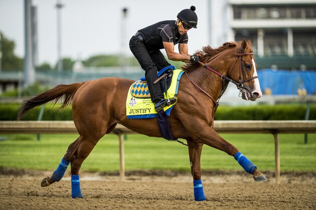 LOUISVILLE, KY - MAY 03: Justify, trained by Bob Baffert, exercises in preparation for the Kentucky Derby at Churchill Downs on May 3, 2018 in Louisville, Kentucky. (Photo by Alex Evers/Eclipse Sportswire/Getty Images)
