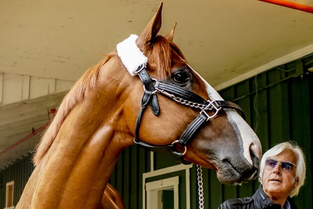 BALTIMORE, MD - MAY 16:  Trainer Bob Baffert walks Kentucky Derby winner Justify after arriving for Preakness preparations after a flight from Louisville, at Pimlico Race Course on May 15, 2018 in Baltimore, Maryland.  (Photo by Scott Serio/Eclipse Sportswire/Getty Images)