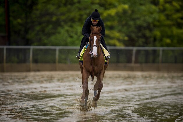 BALTIMORE, MD - MAY 17:  Justify with Humberto Gomez gallops in preparation for the Preakness Stakes at Pimlico Racecourse on May 17, 2018 in Baltimore, Maryland. (Photo by Alex Evers/Eclipse Sportswire/Getty Images)