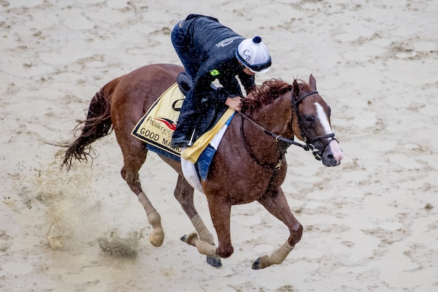 BALTIMORE, MD - MAY 17: Good Magic gallops in preparation for the Preakness at Pimlico Race Course on May 15, 2018 in Baltimore, Maryland (Photo by Scott Serio/Eclipse Sportswire/Getty Images)