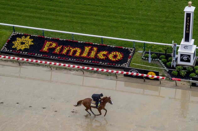 BALTIMORE, MD - MAY 17: Kentucky Derby winner Justify gallops in preparation for the Preakness at Pimlico Race Course on May 15, 2018 in Baltimore, Maryland (Photo by Scott Serio/Eclipse Sportswire/Getty Images)