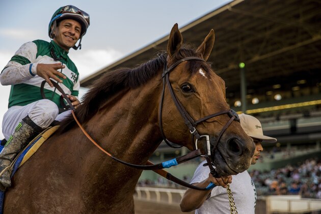 ARCADIA, CA - FEBRUARY 03: Accelerate #3, ridden by Victor Espinoza wins the San Pasqual Stakes at Santa Anita Park on February 3, 2018 in Arcadia, California. (Photo by Alex Evers/Eclipse Sportswire/Getty Images)