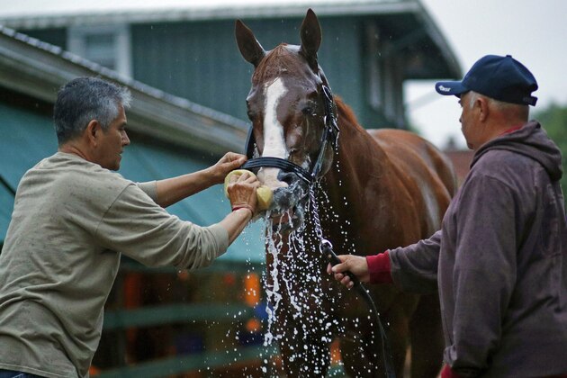Kentucky Derby winner Justify is washed outside a barn, Friday, May 18, 2018, at Pimlico Race Course in Baltimore. The Preakness Stakes horse race is schedule for Saturday. (AP Photo/Patrick Semansky)