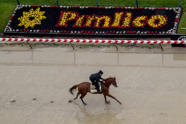 BALTIMORE, MD - MAY 17: Kentucky Derby winner Justify gallops in preparation for the Preakness at Pimlico Race Course on May 15, 2018 in Baltimore, Maryland (Photo by Scott Serio/Eclipse Sportswire/Getty Images)