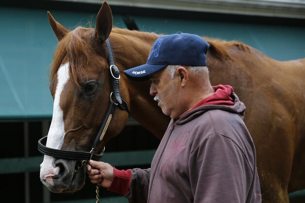 A groom walks Kentucky Derby winner Justify after a workout, Thursday, May 17, 2018, at Pimlico Race Course in Baltimore. The Preakness Stakes horse race is scheduled to take place Saturday, May 19. (AP Photo/Patrick Semansky)
