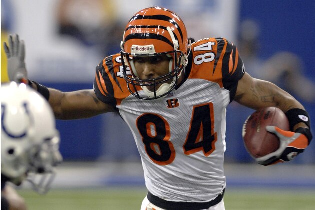 Cincinnati Bengals wide receiver T. J. Houshmandzadeh grabs a pass against the Indianapolis Colts at the RCA Dome in Indianapolis, Indiana on December 18, 2006. The Colts won 34 - 16.  (Photo by Al Messerschmidt/Getty Images) *** Local Caption ***