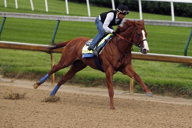 Jockey Martin Garcia works Triple Crown hopeful Justify at Churchill Downs in Louisville, Ky., Tuesday, May 29, 2018. (AP Photo/Garry Jones)