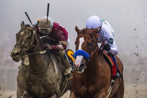BALTIMORE, MD - MAY 19: Justify #7 with Mike Smith defeats Tenforld #6 to win the 143rd Preakness Stakes at Pimlico Racecourse on May 19, 2018 in Baltimore, Maryland. (Photo by Alex Evers/Eclipse Sportswire/Getty Images)