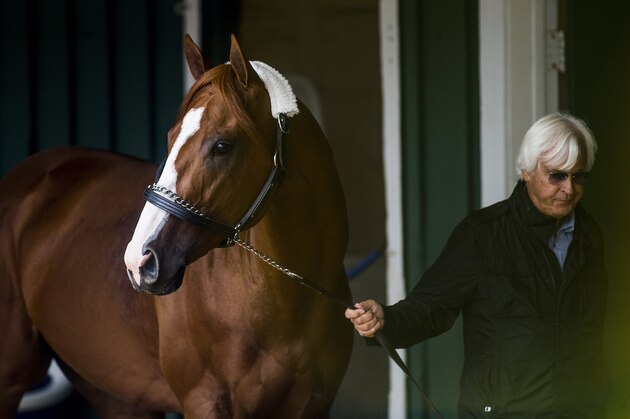 BALTIMORE, MD - MAY 16:  Justify with trainer Bob Baffert arrives at Pimlico Racecourse on May 16, 2018 in Baltimore, Maryland. (Photo by Alex Evers/Eclipse Sportswire/Getty Images)