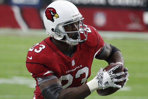 Arizona Cardinals running back Adrian Peterson (23) during the second half of an NFL football game against the Jacksonville Jaguars, Sunday, Nov. 26, 2017, in Glendale, Ariz. (AP Photo/Rick Scuteri)