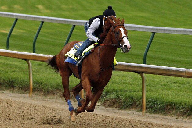 Jockey Martin Garcia works Triple Crown hopeful Justify at Churchill Downs in Louisville, Ky., Tuesday, May 29, 2018. (AP Photo/Garry Jones)