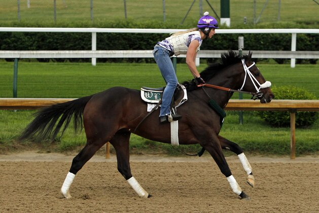 Belmont Stakes hopeful and Preakness Stakes runner-up Bravazo, ridden by exercise rider Danielle Rosier, gallops at Churchill Downs in Louisville, Ky., Tuesday, May 29, 2018. (AP Photo/Garry Jones) Belmont Stakes hopeful and Preakness Stakes runner-up Bravazo, ridden by exercise rider Danielle Rosier, gallops at Churchill Downs in Louisville, Ky., Tuesday, May 29, 2018. (AP Photo/Garry Jones)