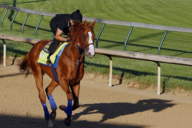 Exercise rider Humberto Gomez guides Kentucky Derby and Preakness Stakes winner Justify in a morning gallop at Churchill Downs in Louisville, Ky., Friday, May 25, 2018.  (AP Photo/Garry Jones)